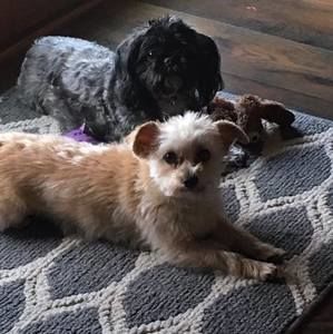 Meet your Posher, Patti